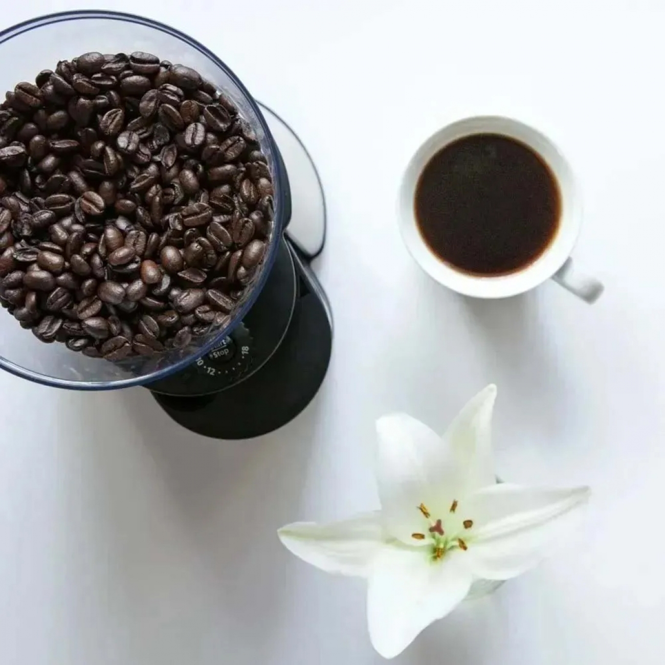 Imagen Molinillo De Cafe Oster Bvsstbmh23 130w 18 Niveles