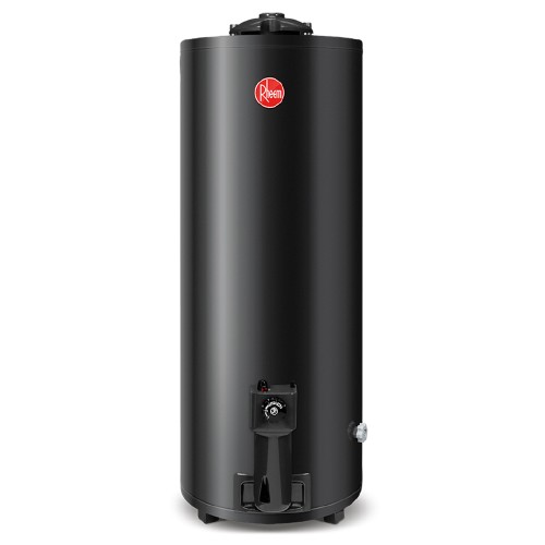 Termotanque Gas Natural Rheem Tgnp120rh 120 Lt Conex Superior