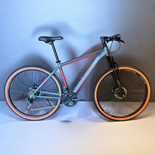 Bicicleta Cletta Talle L R29 21 Velocidades Gris